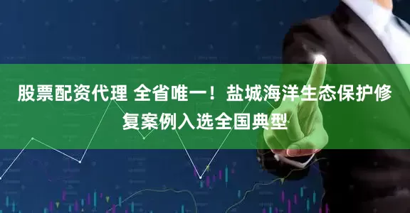 股票配资代理 全省唯一！盐城海洋生态保护修复案例入选全国典型